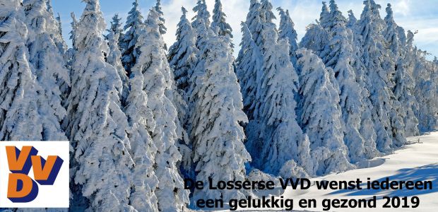 https://losser.vvd.nl/nieuws/33351/de-losserse-vvd-wenst-iedereen-een-gelukkig-en-gezond-2019