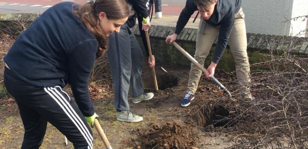 https://nijmegen.vvd.nl/nieuws/28934/handen-uit-de-mouwen