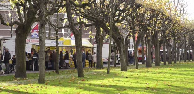 https://oisterwijk.vvd.nl/nieuws/32398/rommelige-markt-leidt-tot-irritatie-en-verkeersonveiligheid