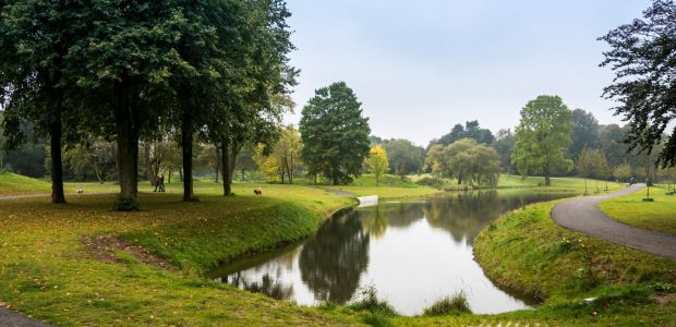 https://oosterhout.vvd.nl/nieuws/53402/nieuw-beleidskader-groenstructuurvisie-aanpassing-compensatiebeleid-bomen-en-afschaffen-velvergunning