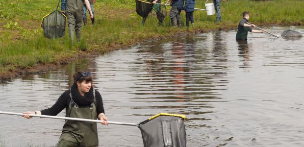 https://oss.vvd.nl/nieuws/21331/ga-mee-op-visexcursie-in-bakel