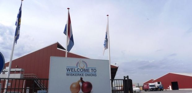 https://reimerswaal.vvd.nl/nieuws/45140/bedrijfsbezoek-wiskerke-onions