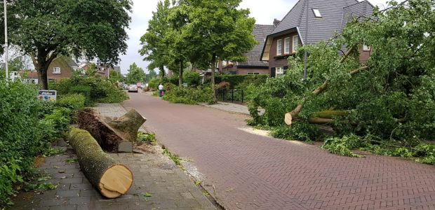 https://rheden.vvd.nl/nieuws/35688/worden-de-omgevallen-bomen-van-de-tornado-vervangen