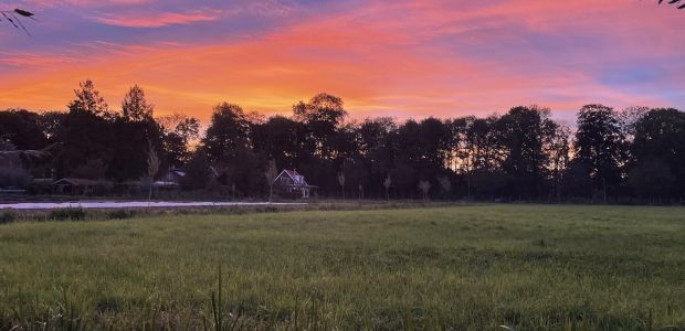 https://ridderkerk.vvd.nl/nieuws/53776/alle-kleuren-van-de-regenboog-vlag