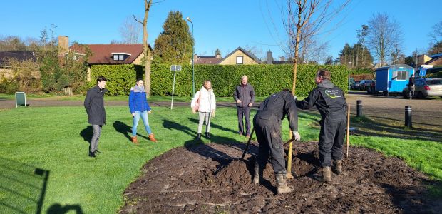 https://utrechtseheuvelrug.vvd.nl/nieuws/48737/bomen-planten-met-geld-van-vvd-donaties