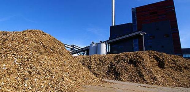 https://veenendaal.vvd.nl/nieuws/39097/nee-tegen-een-biomassacentrale