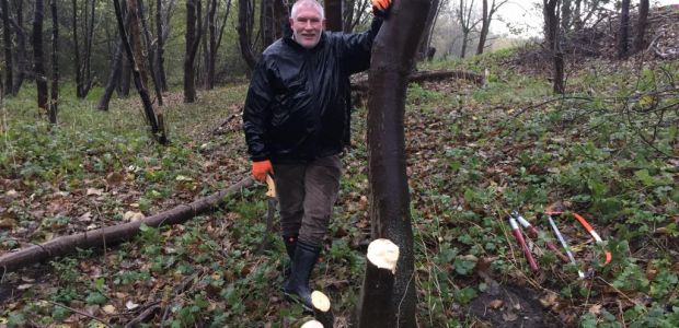 https://westvoorne.vvd.nl/nieuws/37178/handen-uit-de-mouwen-op-natuurwerkdag