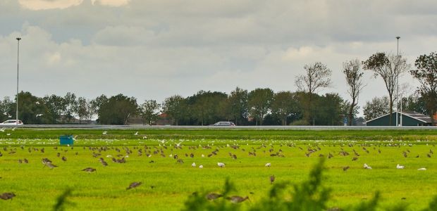 https://wormerland.vvd.nl/nieuws/40708/stop-jengelen-om-windmolens