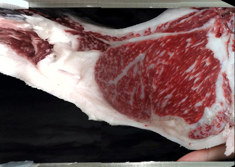 Carcase cross-section for MCKFR2933