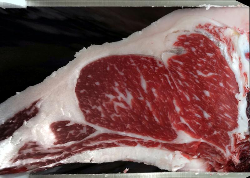Carcase cross-section for MCKFR2875