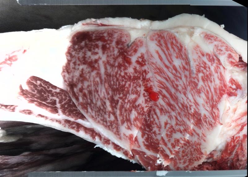Carcase cross-section for MSMF23U0596