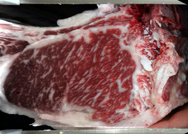 Carcase cross-section for MCKFR3081