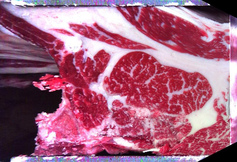 Carcase cross-section for MCKFP2381