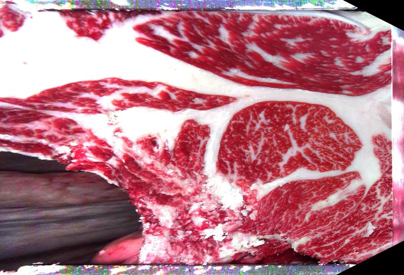 Carcase cross-section for MCKFP2272