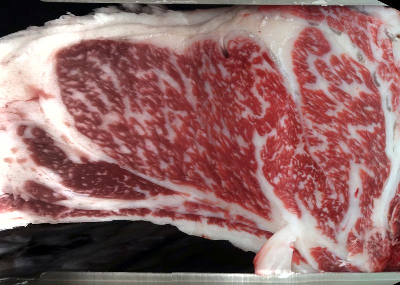 Carcase cross-section for MSMFS0139