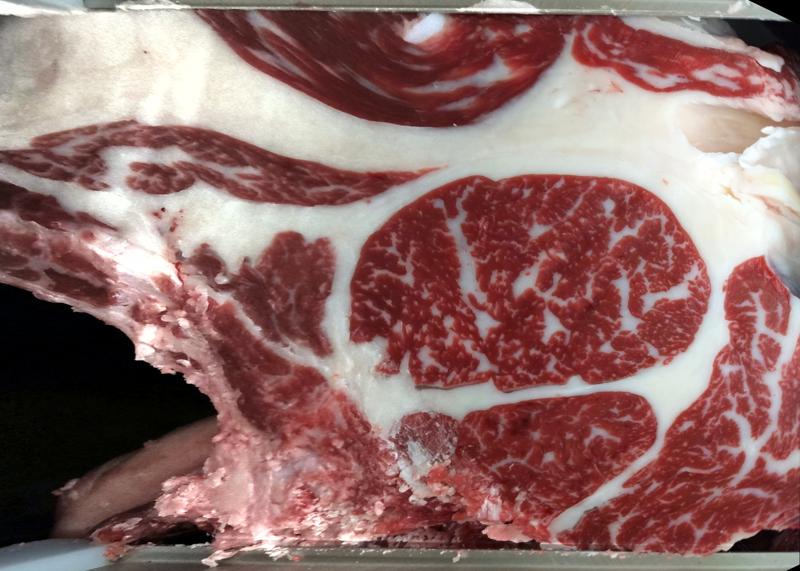 Carcase cross-section for MCKFQ2665