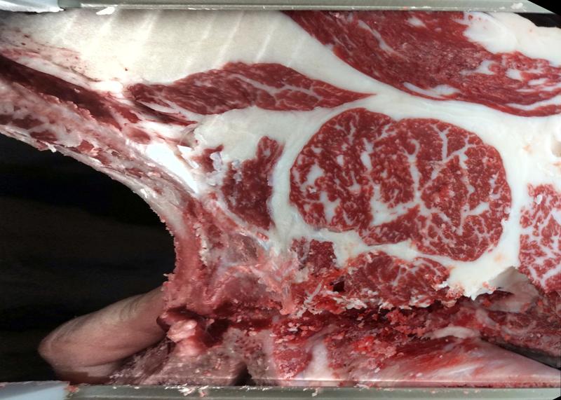 Carcase cross-section for MCKFQ2623