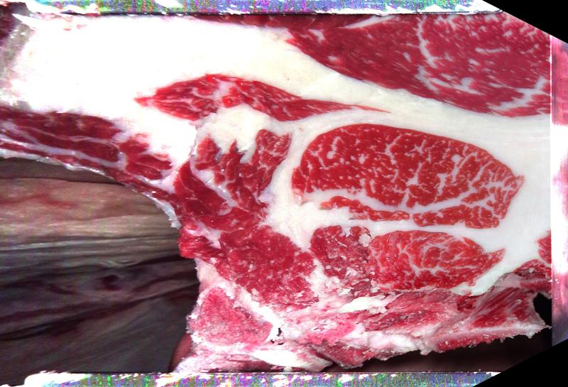 Carcase cross-section for MCKFP2313