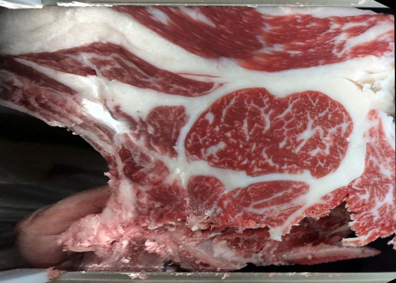 Carcase cross-section for MCKFQ2499