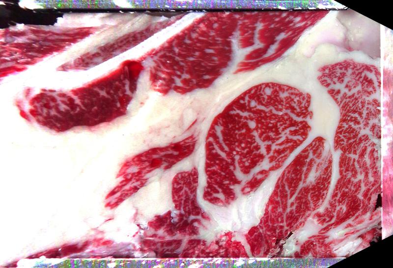 Carcase cross-section for MCKFP2271