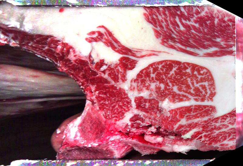 Carcase cross-section for MCKFP2340