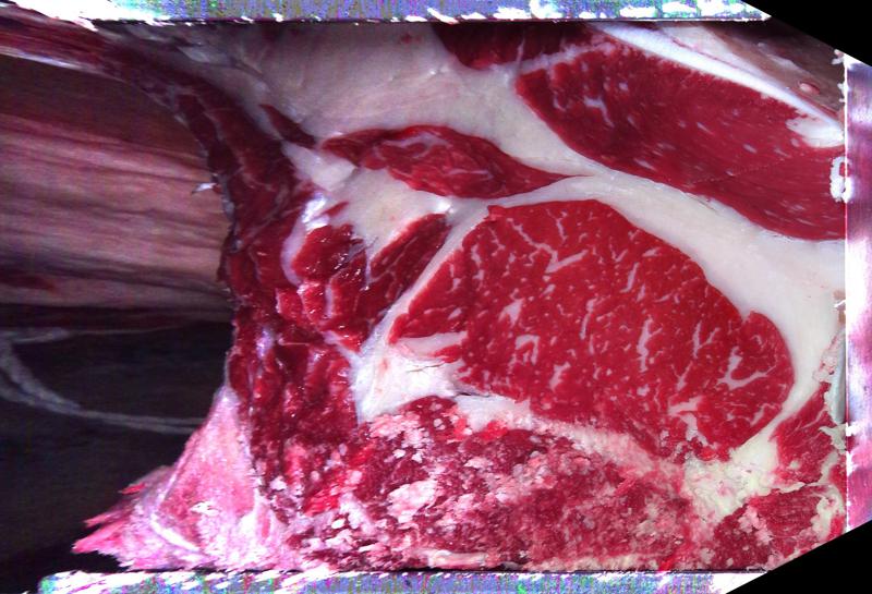 Carcase cross-section for MCKFP2387