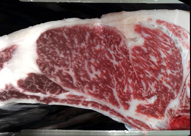Carcase cross-section for MSMFS0254
