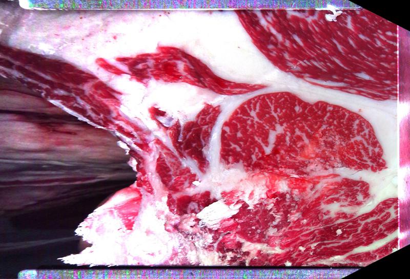 Carcase cross-section for MCKFP2337
