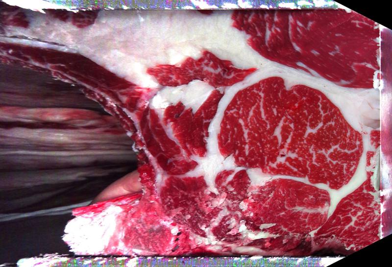 Carcase cross-section for MCKFP2377