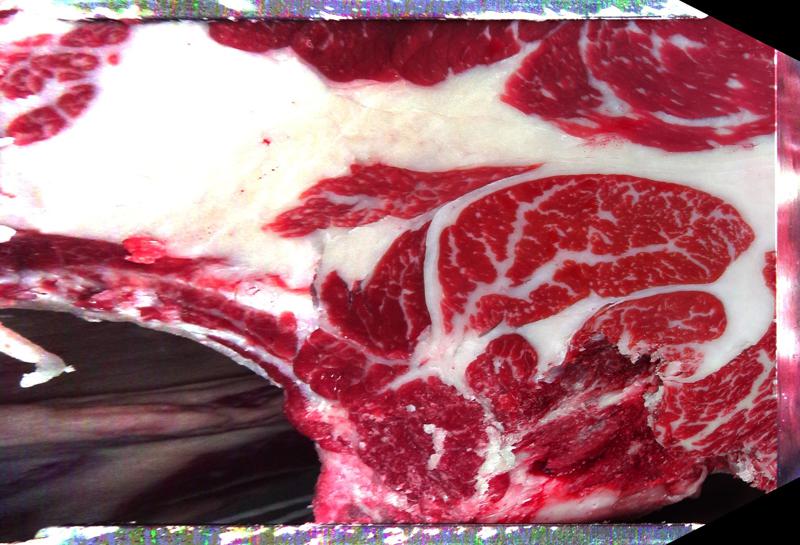 Carcase cross-section for MCKFP2314