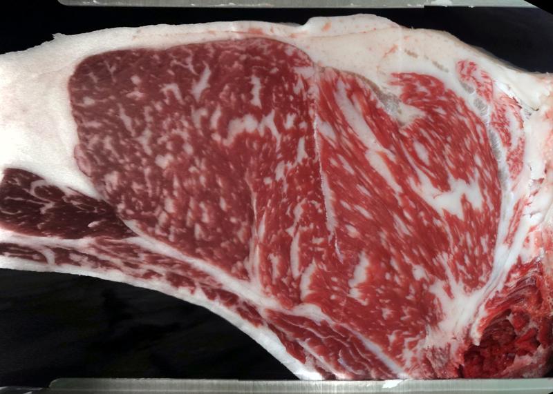 Carcase cross-section for MSMFS0119