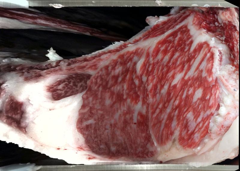Carcase cross-section for MCKFR2914