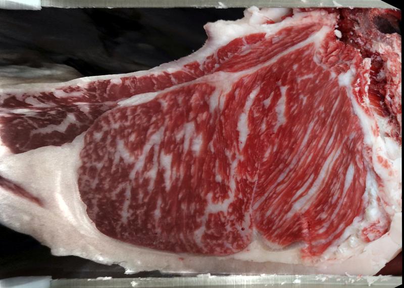 Carcase cross-section for MCKFR3031