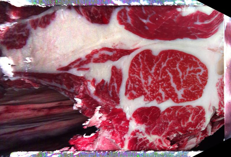Carcase cross-section for MCKFP2366