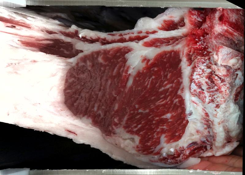 Carcase cross-section for MCKFR2907