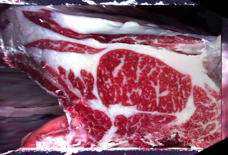 Carcase cross-section for MCKFQ2653