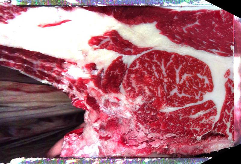 Carcase cross-section for MCKFP2215