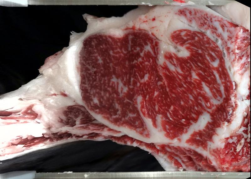Carcase cross-section for MCKFR2946