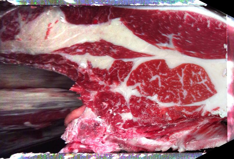 Carcase cross-section for MCKFP2456