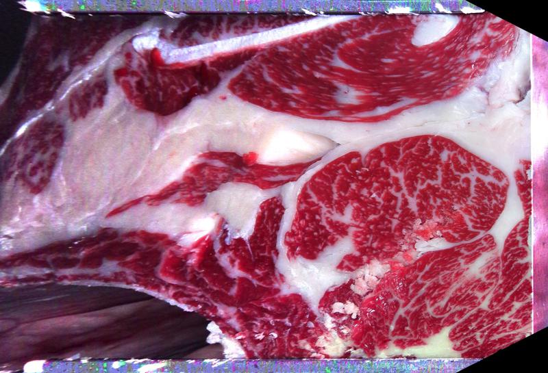 Carcase cross-section for MCKFP2345