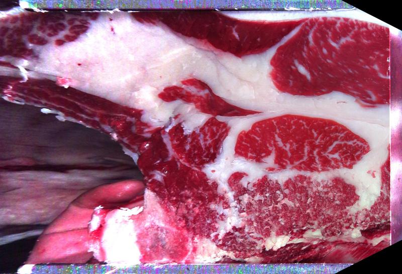 Carcase cross-section for MCKFP2425