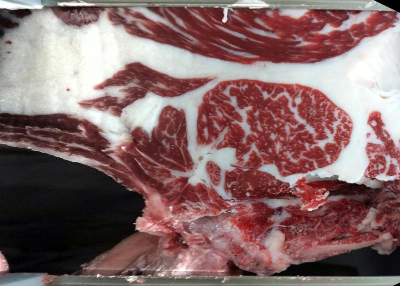 Carcase cross-section for MCKFQ2708