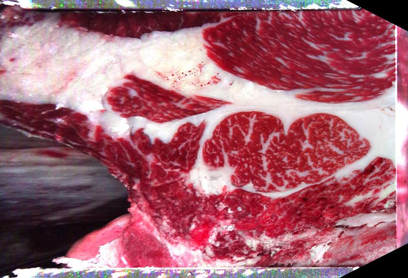 Carcase cross-section for MCKFP2412