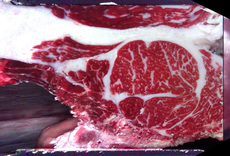 Carcase cross-section for MCKFQ2672