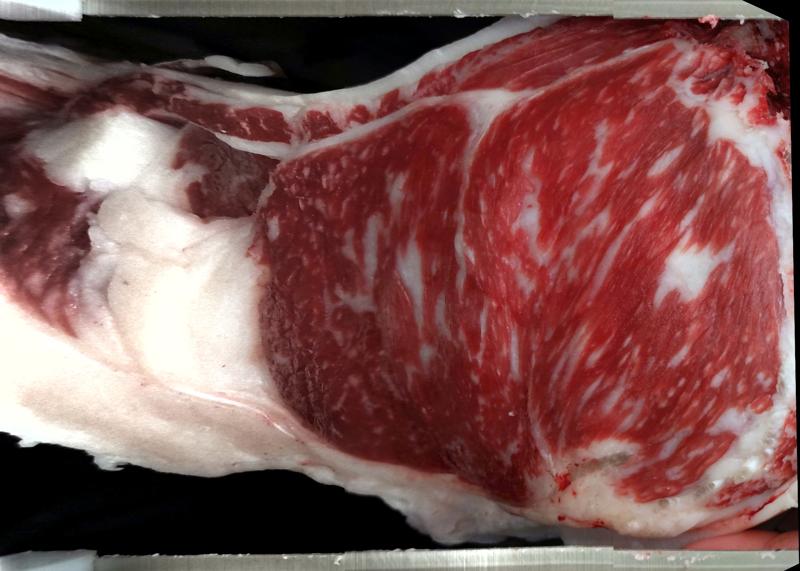 Carcase cross-section for MCKFR2903