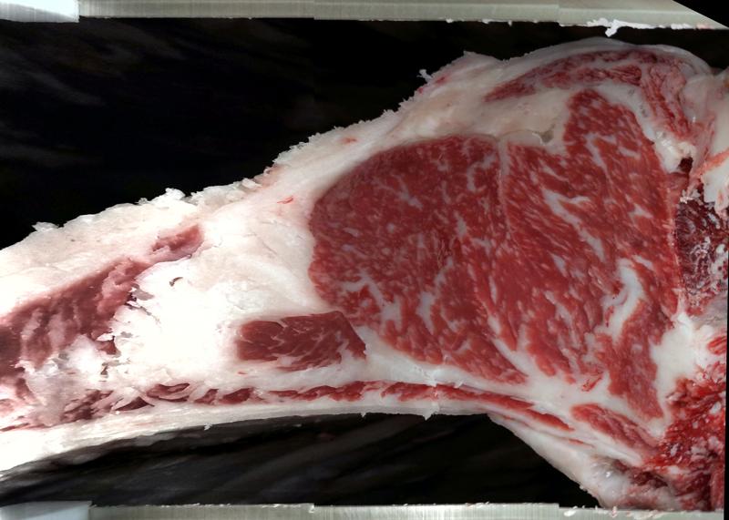 Carcase cross-section for MCKFR3110