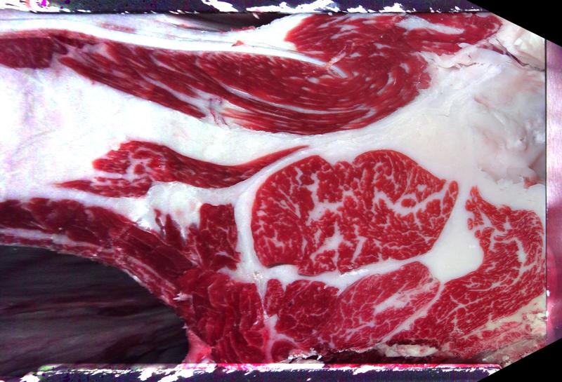 Carcase cross-section for MCKFQ2704