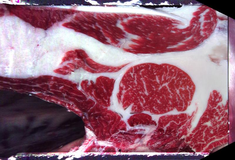 Carcase cross-section for MCKFQ2721