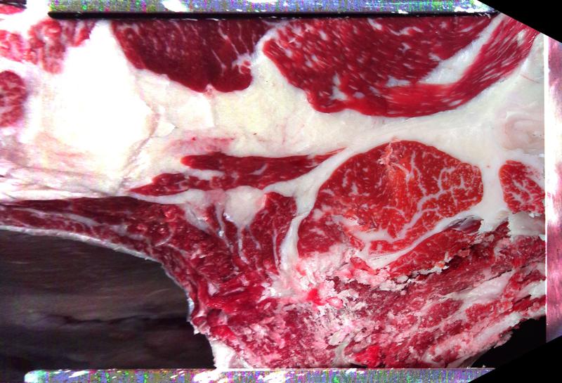 Carcase cross-section for MCKFP2176