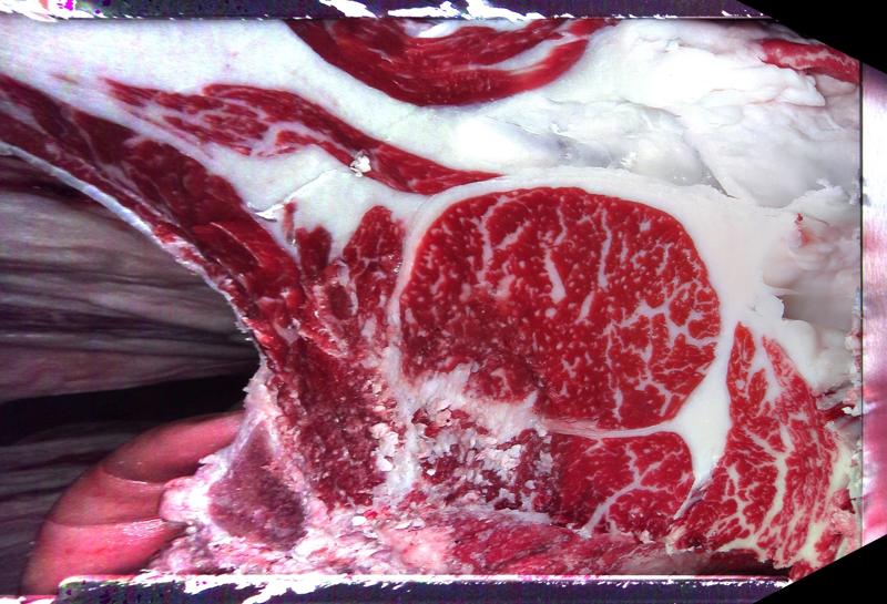 Carcase cross-section for MCKFQ2635
